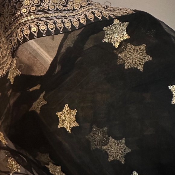 Brand new Lehenga with Tags with pure silk top. - Picture 6 of 10